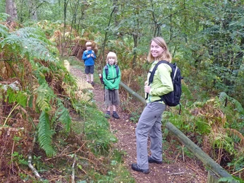 Urwaldähnlicher, nicht barrierefreier Wegabschnitt im NSG Wolfsgrund Urwaldähnlicher, nicht barrierefreier Wegabschnitt im NSG WolfsgrundJungle-like, non-accessible section of path in the Wolfsgrund nature reserveJunglelignende, ikke-tilgængelig del af stien i naturreservatet WolfsgrundJungle-achtig, niet-toegankelijk deel van het pad in het natuurreservaat Wolfsgrund