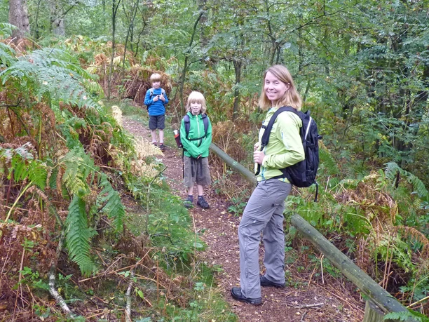 Urwaldähnlicher, nicht barrierefreier Wegabschnitt im NSG Wolfsgrund Urwaldähnlicher, nicht barrierefreier Wegabschnitt im NSG Wolfsgrund