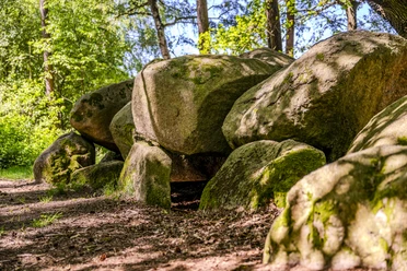 Großsteingrab Am Wiemelsberg
