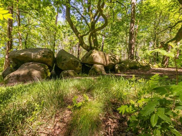 Großsteingrab Am Wiemelsberg Großsteingrab Am Wiemelsberg