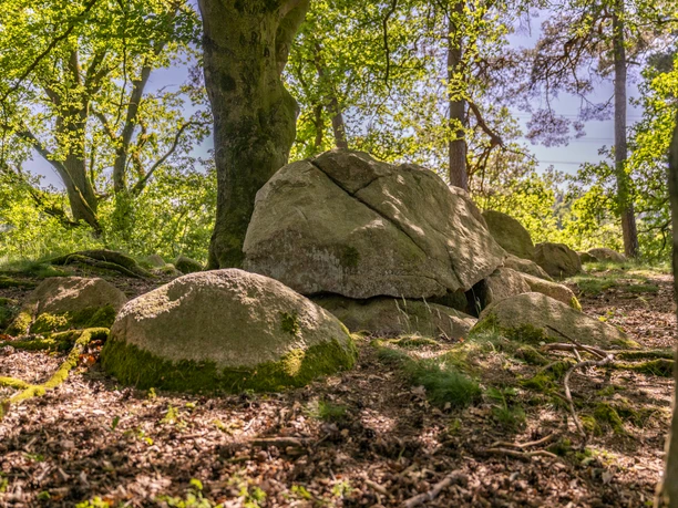 Steingräberweg Giersfeld bei Ankum | 9a Steingräberweg Giersfeld bei Ankum | 9a