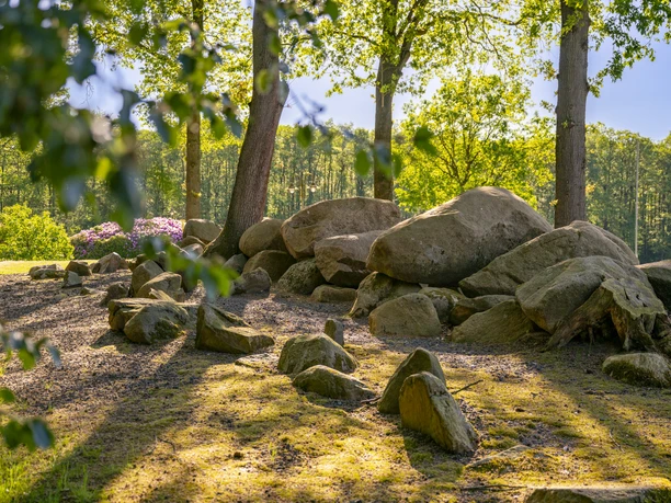 Steingräberweg Giersfeld bei Ankum | 9h Steingräberweg Giersfeld bei Ankum | 9h