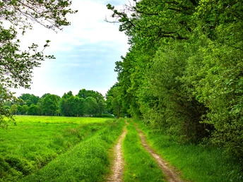 Die grüne Veerseniederung Die grüne VeerseniederungThe green Veersen lowlandsDet grønne Veersen-lavlandDe groene Veersen