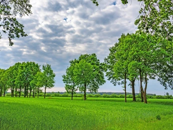 Grünland zwischen Westervesede und dem Rastplatz Veerse Grünland zwischen Westervesede und dem Rastplatz VeerseGrassland between Westervesede and the Veerse rest areaGræsarealer mellem Westervesede og rastepladsen VeerseGrasland tussen Westervesede en het Veerse rustgebied