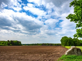 Blick auf die Felder im Lohmoor am NORDPFAD Kirchsteg-Moore-Bäche Blick auf die Felder im Lohmoor am NORDPFAD Kirchsteg-Moore-BächeView of the fields in Lohmoor on the NORDPFAD Kirchsteg-Moore brooksUdsigt over markerne i Lohmoor på NORDPFAD Kirchsteg-Moore-bækkeneUitzicht op de velden in Lohmoor aan de NORDPFAD Kirchsteg-Moore kreken