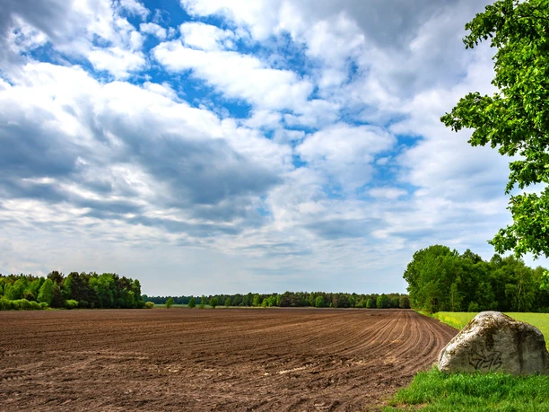 Blick auf die Felder im Lohmoor am NORDPFAD Kirchsteg-Moore-Bäche Blick auf die Felder im Lohmoor am NORDPFAD Kirchsteg-Moore-Bäche