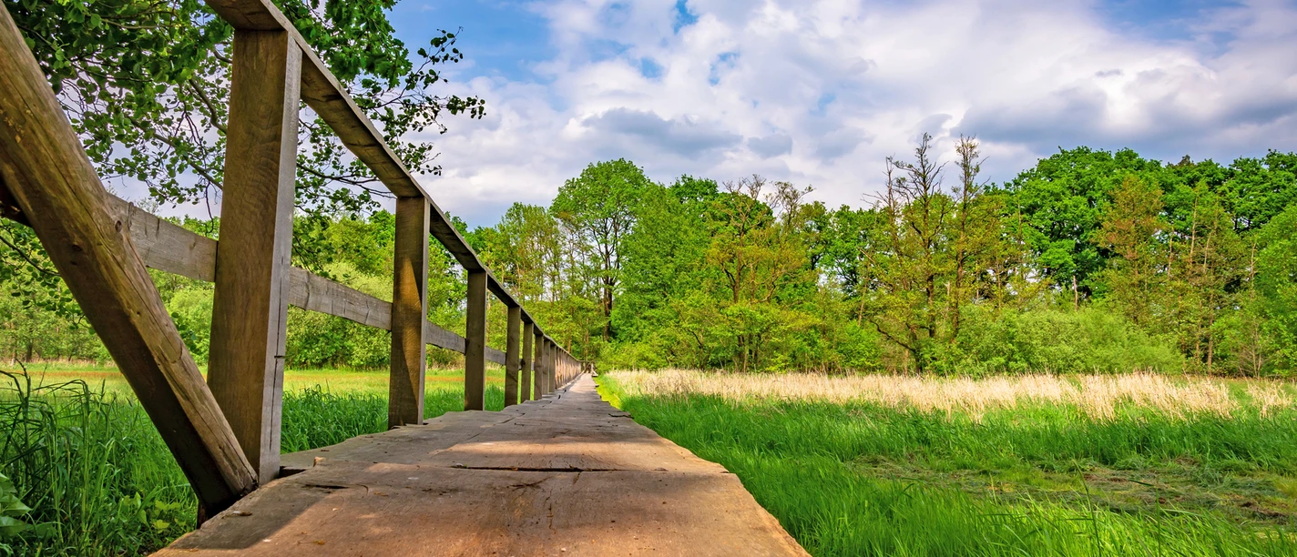 Der Bartelsdorfer Kirchsteg bei Trockenheit der Veerse Der Bartelsdorfer Kirchsteg bei Trockenheit der Veerse