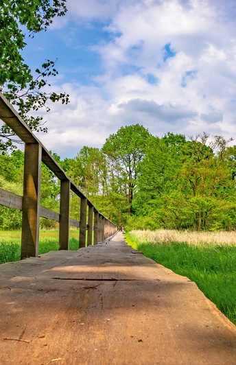 Der Bartelsdorfer Kirchsteg bei Trockenheit der Veerse Der Bartelsdorfer Kirchsteg bei Trockenheit der VeerseThe Bartelsdorf church footbridge when the Veerse is dryBartelsdorf kirkes gangbro, når Veerse er tørlagtDe voetgangersbrug over de kerk van Bartelsdorf als het Veerse droog is