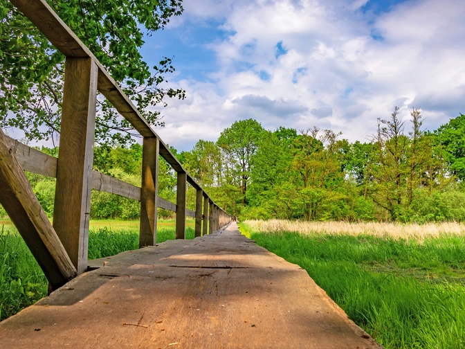 Der Bartelsdorfer Kirchsteg bei Trockenheit der Veerse Der Bartelsdorfer Kirchsteg bei Trockenheit der VeerseThe Bartelsdorf church footbridge when the Veerse is dryBartelsdorf kirkes gangbro, når Veerse er tørlagtDe voetgangersbrug over de kerk van Bartelsdorf als het Veerse droog is