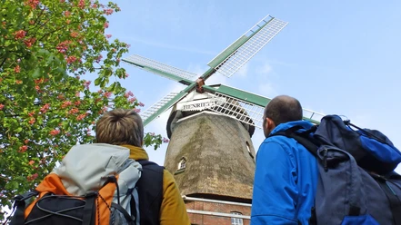 Wanderer schauen auf zu den Flügeln der Windmühle "Henriette" Wanderer schauen auf zu den Flügeln der Windmühle "Henriette"