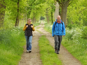 Wanderer mitten im Wald auf dem NORDPFAD Hinterholz und Hohenmoor Wanderer mitten im Wald auf dem NORDPFAD Hinterholz und Hohenmoor