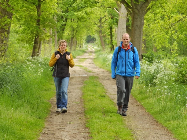Wanderer mitten im Wald auf dem NORDPFAD Hinterholz und Hohenmoor Wanderer mitten im Wald auf dem NORDPFAD Hinterholz und Hohenmoor