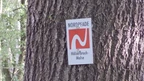Markierungszeichen des NORDPFADES Hölzerbruch - Malse Markierungszeichen des NORDPFADES Hölzerbruch - Malse