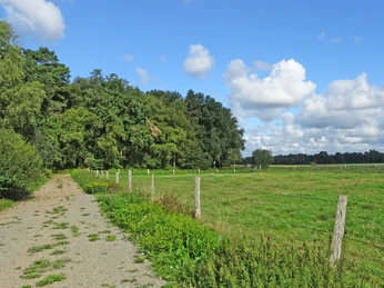 Feldweg an einer umzäunten Wiese am NORDPFAD Hölzerbruch - Malse Feldweg an einer umzäunten Wiese am NORDPFAD Hölzerbruch - MalseField path at a fenced meadow on the NORDPFAD Hölzerbruch - MalseMarkvej ved en indhegnet eng på NORDPFAD Hölzerbruch - MalseVeldpad bij een omheinde weide op het NORDPFAD Hölzerbruch - Malse