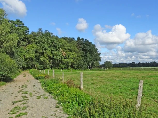Feldweg an einer umzäunten Wiese am NORDPFAD Hölzerbruch - Malse Feldweg an einer umzäunten Wiese am NORDPFAD Hölzerbruch - Malse