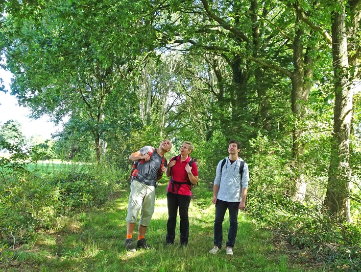 Wanderer auf einem naturnahen Abschnitt des NORDPFADES Hölzerbruch - Malse Wanderer auf einem naturnahen Abschnitt des NORDPFADES Hölzerbruch - MalseHikers on a near-natural section of the NORDPFADES Hölzerbruch - MalseVandrere på en næsten naturlig del af NORDPFADES Hölzerbruch - MalseWandelaars op een bijna natuurlijk gedeelte van de NORDPFADES Hölzerbruch - Malse