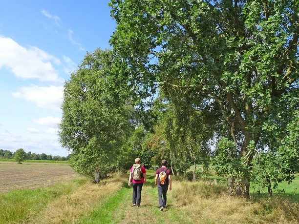 Malerische Wege auf dem NORDPFAD Hölzerbruch - Malse Malerische Wege auf dem NORDPFAD Hölzerbruch - Malse