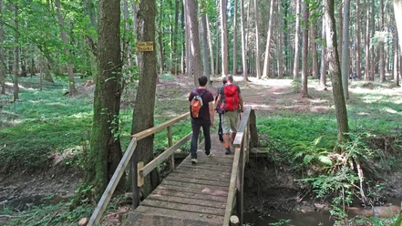 Überquerung vom Klustebach im Hölzerbruch Überquerung vom Klustebach im Hölzerbruch