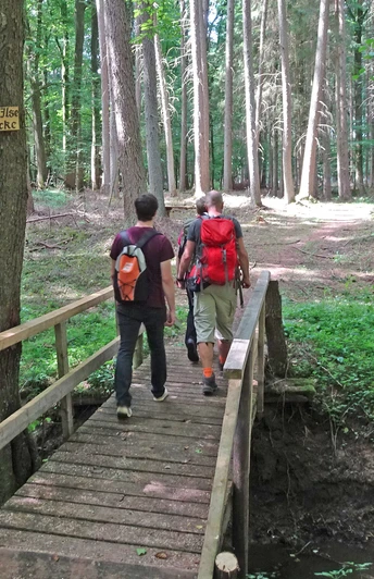 Überquerung vom Klustebach im Hölzerbruch Überquerung vom Klustebach im Hölzerbruch
