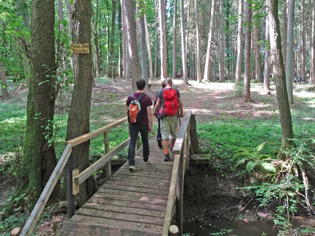 Überquerung vom Klustebach im Hölzerbruch Überquerung vom Klustebach im Hölzerbruch