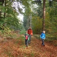 Wanderer im farbenfrohen Forst Eichholz im Herbst Wanderer im farbenfrohen Forst Eichholz im Herbst