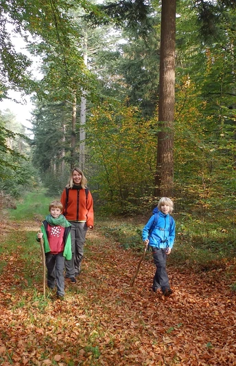 Wanderer im farbenfrohen Forst Eichholz im Herbst Wanderer im farbenfrohen Forst Eichholz im Herbst