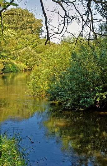 Die mäandrierende Oste mit dem Zertifikat des NORDPFADES Ostetal Die mäandrierende Oste mit dem Zertifikat des NORDPFADES Ostetal