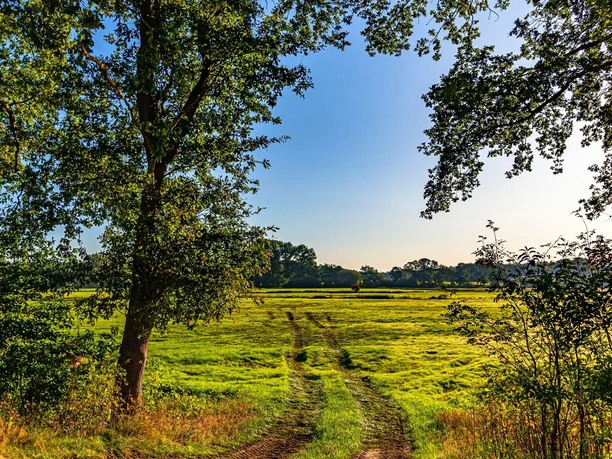 Die Osteniederung mit seinen grünen Wiesen Die Osteniederung mit seinen grünen Wiesen