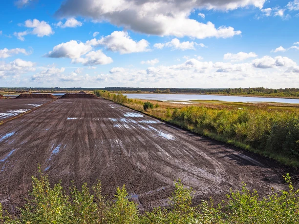 Ausblick von der Kranichschanze auf das Huvenhoopsmoor Ausblick von der Kranichschanze auf das Huvenhoopsmoor