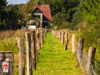 Wanderweg entlang der Pferdekoppel auf dem NORDPFAD Huvenhoopsmoor. Wanderweg entlang der Pferdekoppel auf dem NORDPFAD Huvenhoopsmoor.Hiking trail along the paddock on the NORDPFAD Huvenhoopsmoor.Vandresti langs indhegningen på NORDPFAD Huvenhoopsmoor.Wandelpad langs de paddock op het NORDPFAD Huvenhoopsmoor.