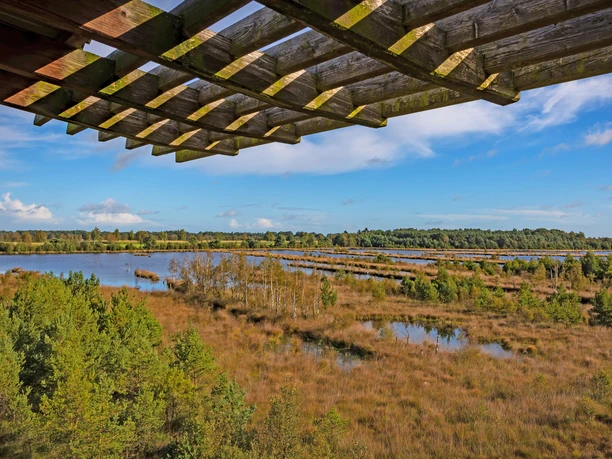 Der Blick in die Weite vom Moorturm bei Forstort-Anfang Der Blick in die Weite vom Moorturm bei Forstort-Anfang