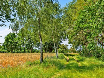 Naturnaher Weg des NORDPFADES Osterberg in völliger Stille Naturnaher Weg des NORDPFADES Osterberg in völliger StilleThe NORDPFADES Osterberg nature trail in complete silenceNORDPFADES Osterberg natursti i fuldstændig stilhedHet NORDPFADES natuurpad Osterberg in alle stilte