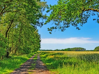 Der Weg in Richtung Eggersmühlen des NORDPFADES Osterberg Der Weg in Richtung Eggersmühlen des NORDPFADES OsterbergThe path towards Eggersmühlen on the NORDPFADES OsterbergStien mod Eggersmühlen på NORDPFADES OsterbergHet pad naar Eggersmühlen op de NORDPFADES Osterberg