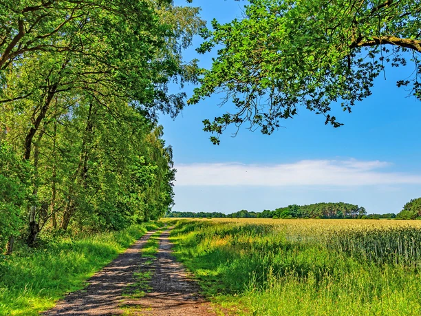 Der Weg in Richtung Eggersmühlen des NORDPFADES Osterberg Der Weg in Richtung Eggersmühlen des NORDPFADES Osterberg