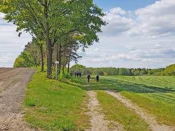 Schöner Wegabschnitt von der Mergelkuhle nach Godenstedt Schöner Wegabschnitt von der Mergelkuhle nach GodenstedtBeautiful section of trail from the Mergelkuhle to GodenstedtSmuk del af stien fra Mergelkuhle til GodenstedtMooi stuk pad van de Mergelkuhle naar Godenstedt