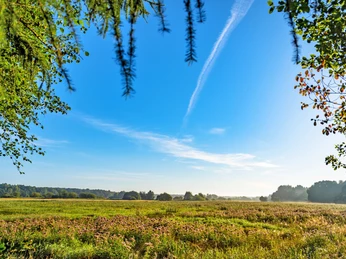 Die Wümmeniederung mit ihren saftigen Wiesen Die Wümmeniederung mit ihren saftigen WiesenThe Wümmen lowlands with their lush meadowsWümmen-lavlandet med sine frodige engeDe laaglanden van Wümmen met hun weelderige weiden