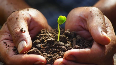 262KP0013 Schöne Beete gestalten – damit der Garten das ganze Jahr begeistert.jpg