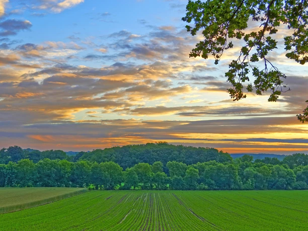 Flach-wellige grüne Kulturlandschaft der Zevener Geest im Sonnuntergang Flach-wellige grüne Kulturlandschaft der Zevener Geest im Sonnuntergang