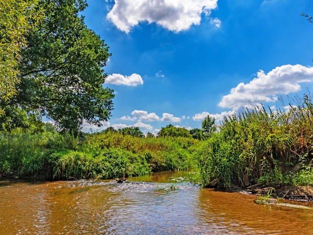 Die Mehde vereinigt sich mit der Oste Die Mehde vereinigt sich mit der Oste
