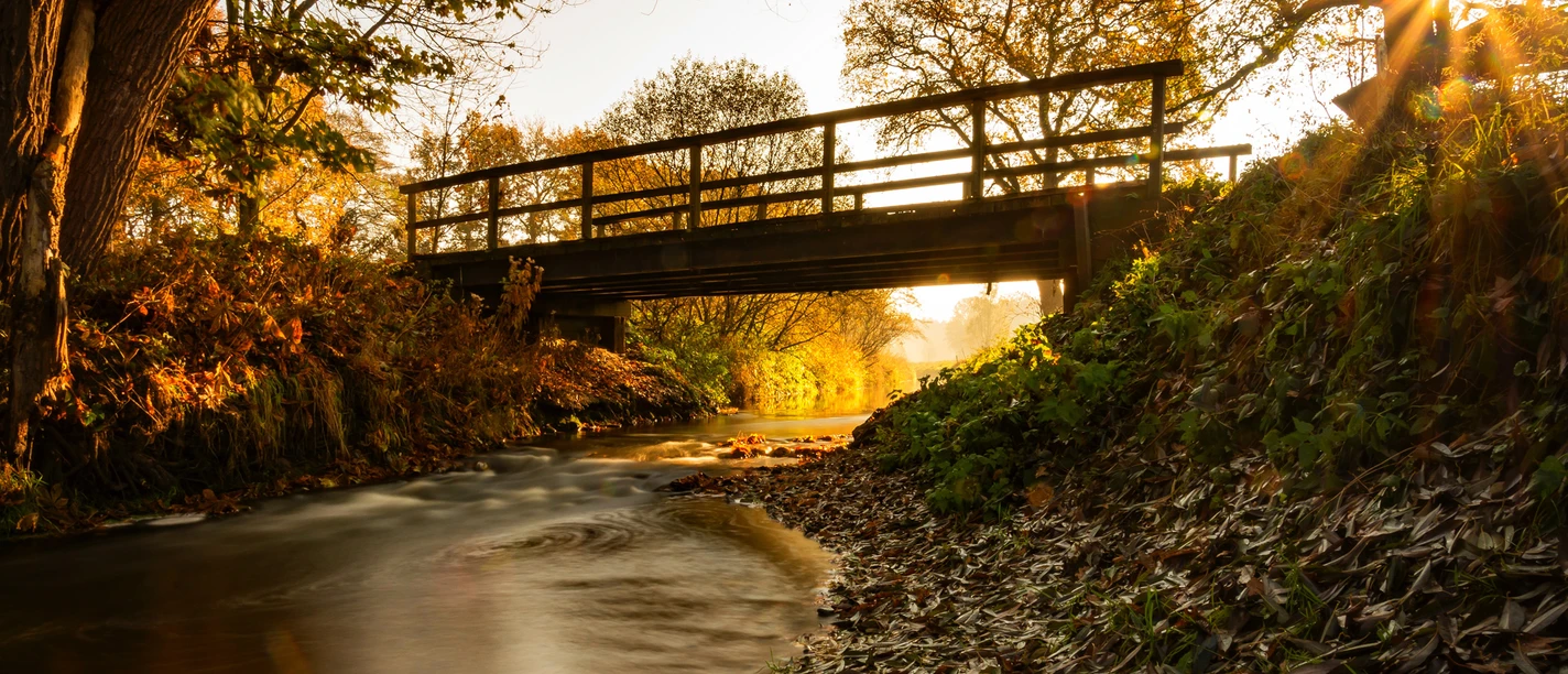 Goldene Herbststimmung an der Mehde nahe Zeven