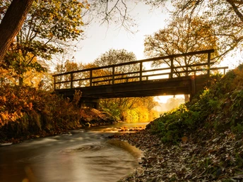 Goldene Herbststimmung an der Mehde nahe Zeven Goldene Herbststimmung an der Mehde nahe Zeven