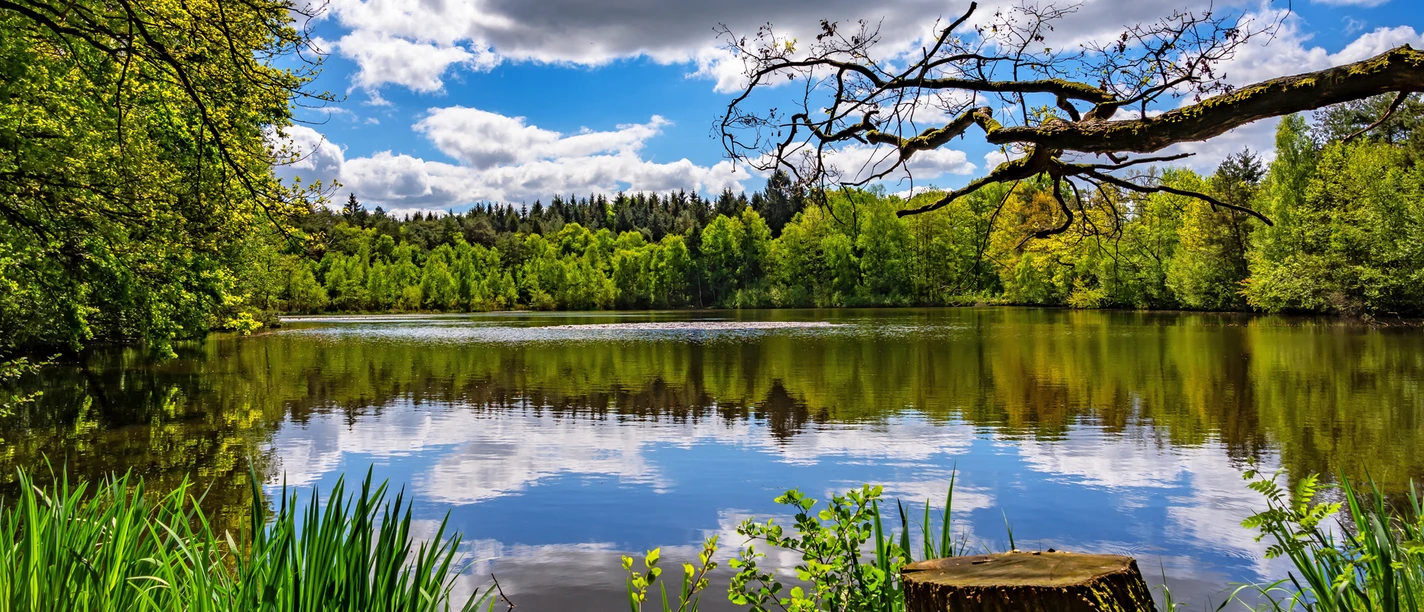 Der malerische Federlohmühlenteich Der malerische Federlohmühlenteich