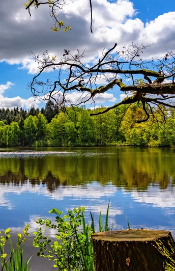 Der malerische Federlohmühlenteich Der malerische Federlohmühlenteich