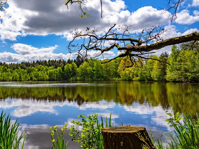 Der malerische Federlohmühlenteich Der malerische FederlohmühlenteichThe picturesque Federlohmühlenteich pondDen maleriske Federlohmühlenteich-damDe schilderachtige vijver van Federlohmühlenteich