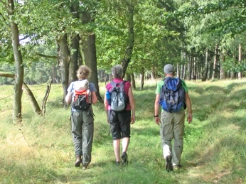 Wanderer am Waldrand vom Ützenbusch Wanderer am Waldrand vom ÜtzenbuschHikers at the edge of the Ützenbusch forestVandrere i udkanten af Ützenbusch-skovenWandelaars aan de rand van het bos van Ützenbusch