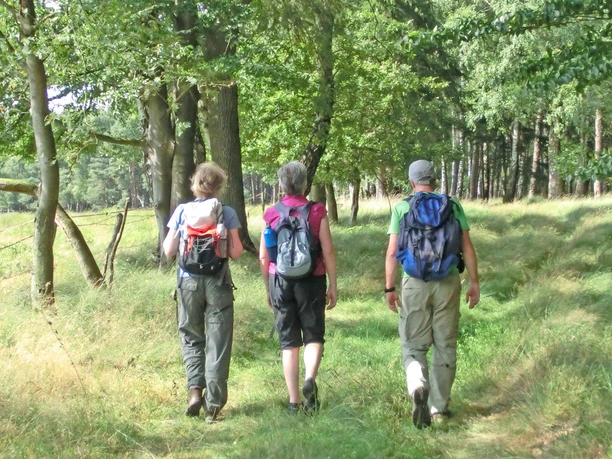 Wanderer am Waldrand vom Ützenbusch Wanderer am Waldrand vom Ützenbusch