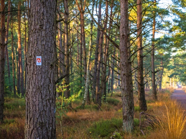 Markierungszeichen am Weg des NORDPFADES Dör't Moor Markierungszeichen am Weg des NORDPFADES Dör't Moor