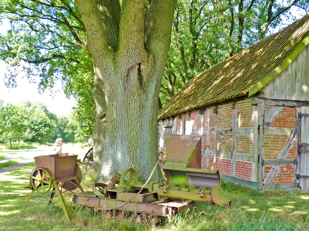 Der Schafstall Unterstedt mit alten Geräten Der Schafstall Unterstedt mit alten Geräten