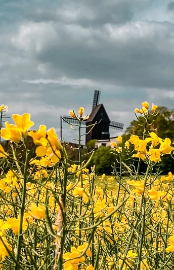 naumburg_muehlenwanderweg_muehle_c_kristin_koch