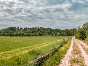 naumburg_muehlenwanderweg_feldweg_c_kristin_koch